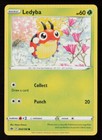 Ledyba