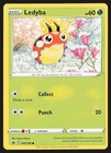 Ledyba