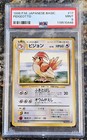 Pidgeotto