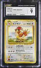 Pidgeotto