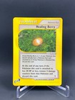 Healing Berry