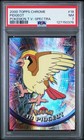 Pidgeot