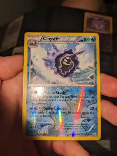 Cloyster