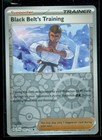Black Belt's Training