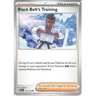 Black Belt's Training