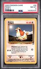 Pidgey