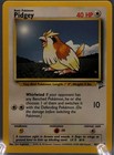 Pidgey