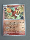 Darumaka