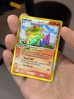 Ludicolo