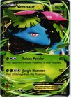 Venusaur EX