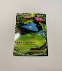 Venusaur EX