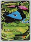 Venusaur EX