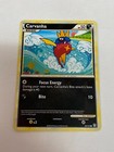 Carvanha