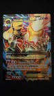Mega Camerupt EX