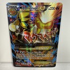 Mega Camerupt EX