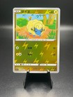 Mareep