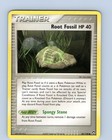 Root Fossil