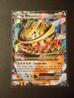 M Steelix EX