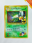 Koga's Beedrill