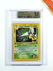Koga's Beedrill