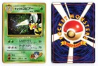 Koga's Beedrill