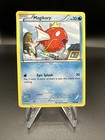 Magikarp