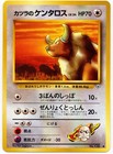 Blaine's Tauros