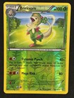 Breloom