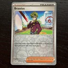 Brassius
