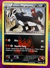 Team Magma's Mightyena