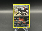 Team Magma's Mightyena