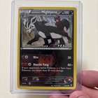 Team Magma's Mightyena