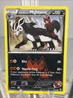 Team Magma's Mightyena