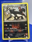 Team Magma's Mightyena
