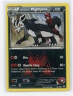 Team Magma's Mightyena
