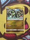Zygarde