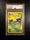 Chikorita