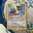 Pidgeot