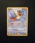 Pidgeot