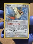 Pidgeot