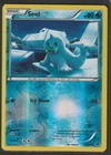Seel