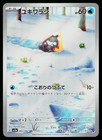 Snorunt