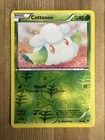 Cottonee