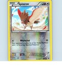 Spearow