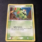 Cacnea