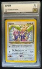 Aipom