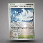 Calamitous Snowy Mountain