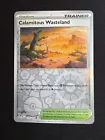 Calamitous Wasteland