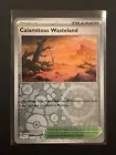 Calamitous Wasteland