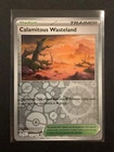 Calamitous Wasteland